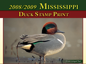2008/09 Mississippi Duck Stamp Print
