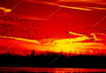 Southern Focus: CharlestonSunset