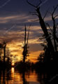 Southern Focus: Mud001